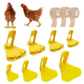 Qtaikong chicken leg splint with toe separator supports healing and safe immobilization.