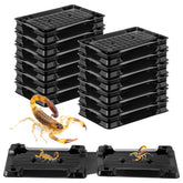 Qualirey 12-pack scorpion glue tray traps placed in cabinet corner for pet-safe pest control.