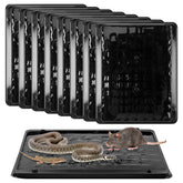 Qualirey jumbo rat glue trap front view with strong adhesive for indoor use