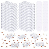 Qualirey bed bug detector trap under furniture enables discreet early monitoring.