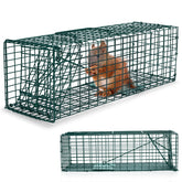 Qualirey humane squirrel trap in green for safe outdoor capture.
