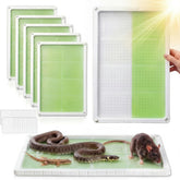 Qualirey snake trap 15x10 tray shows large capture surface ideal for snakes and rodents