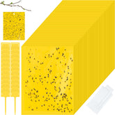 Qualirey yellow double-sided sticky traps capture gnats in garden