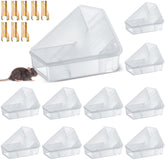 Qualirey triangle mouse station front view in translucent plastic for indoor safety