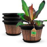 Quarut whiskey barrel planter 16-inch brown with drainage holes for healthy outdoor planting