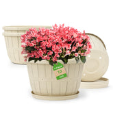 Quarut wine-barrel 10-inch white planter with a stylish indoor display and drainage holes.