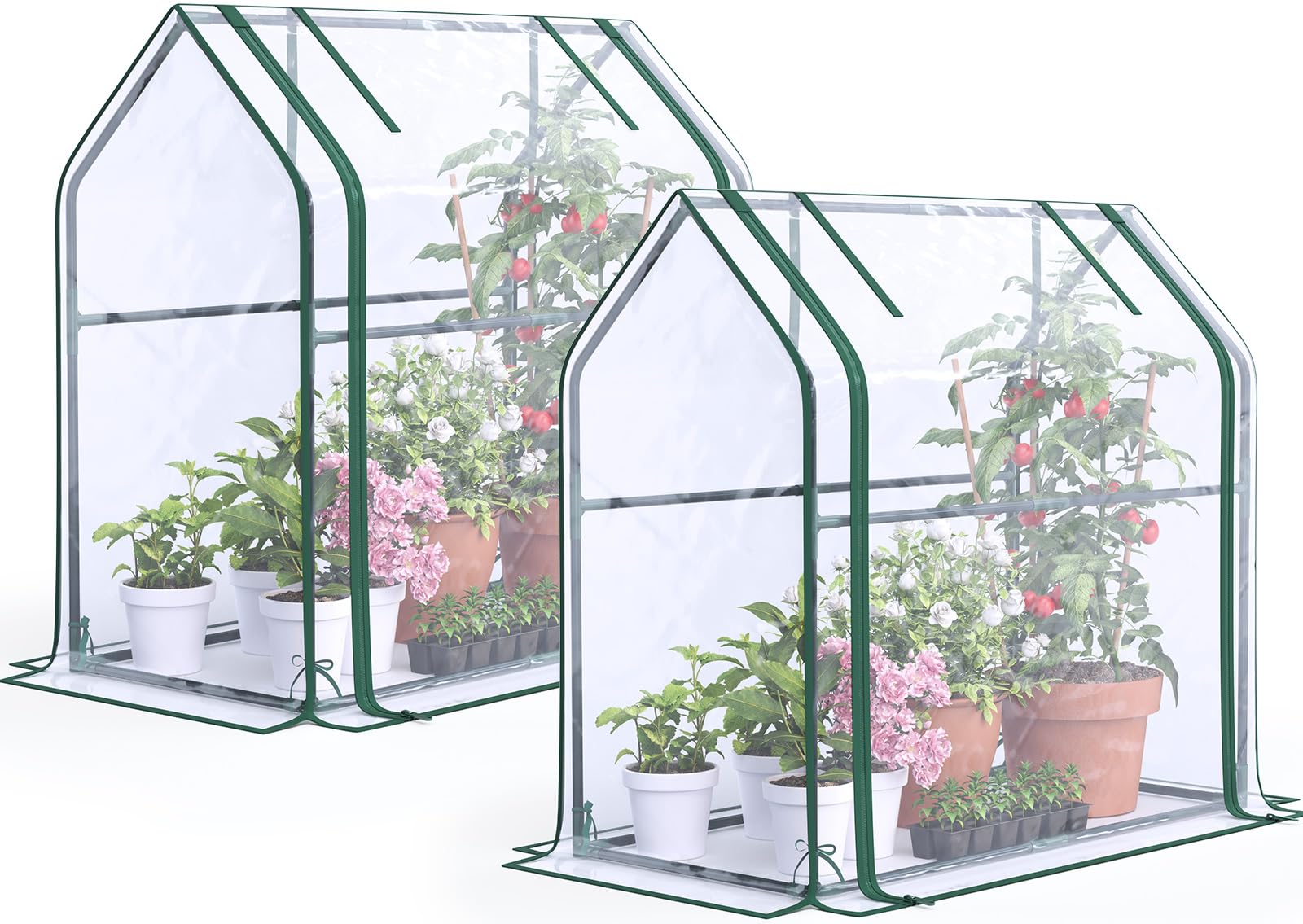 Quictent Mini Greenhouse table-top setup for indoor seed starting.
