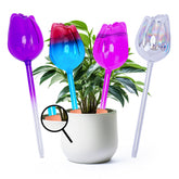 QWBthnk tulip-shaped glass watering globe delivers slow, steady hydration for plants.
