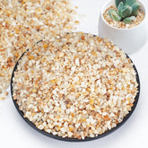 Rahato 1-2mm coarse sand for plants, showing natural grains and drainage benefits.