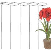 RAIKEDR 30 inch plant stake assembly supports tall stems for stable growth