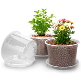 RAOOKIF 10 inch clear nursery pot with saucer for easy plant growth monitoring.