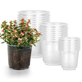 RAOOKIF clear nursery pot 3.5-inch with drainage for healthy roots.