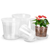 RAOOKIF clear nursery pot 4-inch with tray for easy moisture control