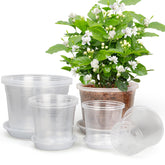 RAOOKIF clear 5-inch nursery pot with drainage holes for healthy root airflow.