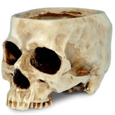 READAEER skull planter with drain hole supports healthy indoor succulents.