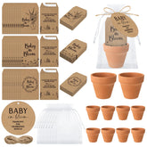 Reallnaive baby in bloom terracotta pot ready for gifting or home plant display.