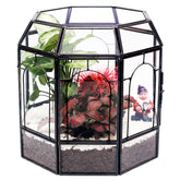 REDHUGO birdcage terrarium front view adds a stylish centerpiece to living spaces.