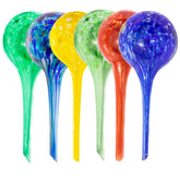 Reifier 6-pack plant watering globes enabling effortless self-watering for indoor and outdoor pots.