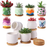 Remerry mini succulent pots in white ceramic, 3.5 inch diameter, ideal for compact desks.