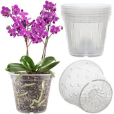 REMIAWY orchid pot 6-pack, 5.5-inch diameter, durable and lightweight for indoors
