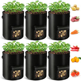 REMIAWY potato grow bag 10 gal setup with sturdy handles for easy relocation.