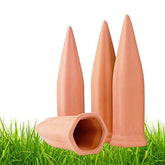 Remiawy terracotta watering stake setup for slow-release irrigation in pots.