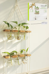 Renmxj propagation station wall hanging with six glass bulbs for easy root viewing.