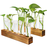 Renmxj propagation station on a desk with a wooden stand for stylish plant care