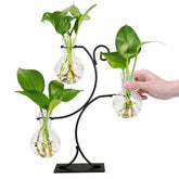 Renmxj three-vase propagation station in glass showcases roots and water clarity for easy monitoring.