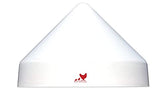 RentACoop anti-roost cone on a 5-gallon bucket waterer keeps the station stable and clean.