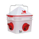 RentACoop Chick2Chicken feeder with lid view showing large 10 lb capacity for fewer refills
