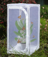 RESTCLOUD Monarch Habitat outdoor cage shows weather-resistant protection for life cycle care.