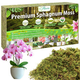 Riare 7oz sphagnum moss brick ready to soak, showcasing natural color and texture.