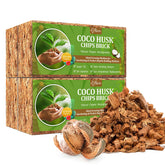 Riare Coco Chips bricks soaking to expand into a ready planting substrate.