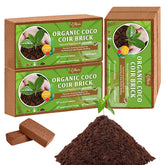 Riare Coco Coir Bricks four-pack expands into rich soil for pots.