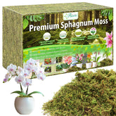 Riare premium sphagnum moss brick expands up to 80 quarts after soaking