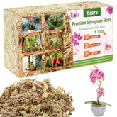 Riare sphagnum moss for orchids enhances moisture retention and healthy roots.