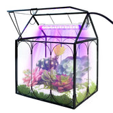 RIFNY plant terrarium kit grow light enhances indoor plant growth