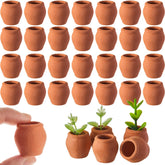 RimCereal mini terracotta pots 40-piece set for desktop display