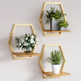 Rioneta solid wood wall plant stand highlights natural grain for warm, durable indoor display.