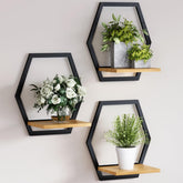 Rioneta wall plant stand 3-pack display demonstrates a stylish wall-mounted plant arrangement for space-saving decor.