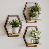 Rioneta wall plant stand arch with natural wood shelf for indoor greenery.