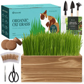 ROOTCRAFT wooden planter with cat grass kit enhances indoor decor.