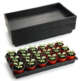 RooTrimmer 1020 flat seed starter trays used for compact seed germination.