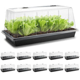 RooTrimmer 1020 trays with tall 7.3-inch dome for easy germination monitoring