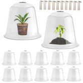 RooTrimmer 13-inch humidity dome over a seedling for warmth and visibility