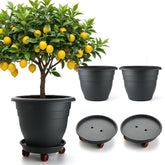 RooTrimmer 16-inch planter with rolling saucer for easy indoor plant movement.