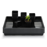 RooTrimmer 2.8-inch square nursery pot with BPA-free plastic for safe seedling growth