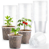 RooTrimmer 4-inch clear pot with drainage holes for easy root observation.