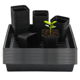 RooTrimmer 4 inch square pot with tray supports sturdy seedling growth.